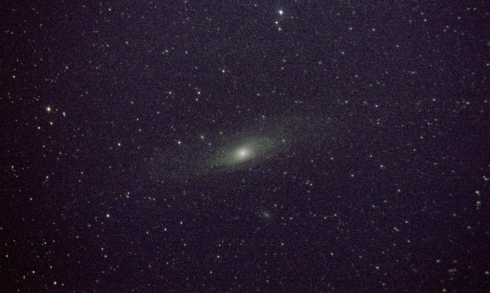 M31